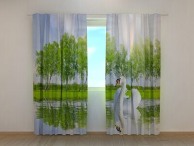 Fotovorhang White Swan