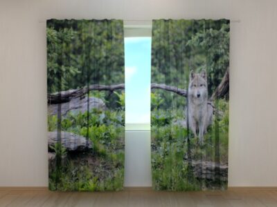 Fotovorhang Wolf
