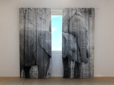 Fotovorhang Young Elephants in Black and White