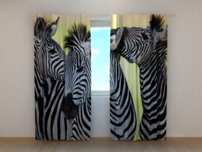 Fotovorhang Zebras